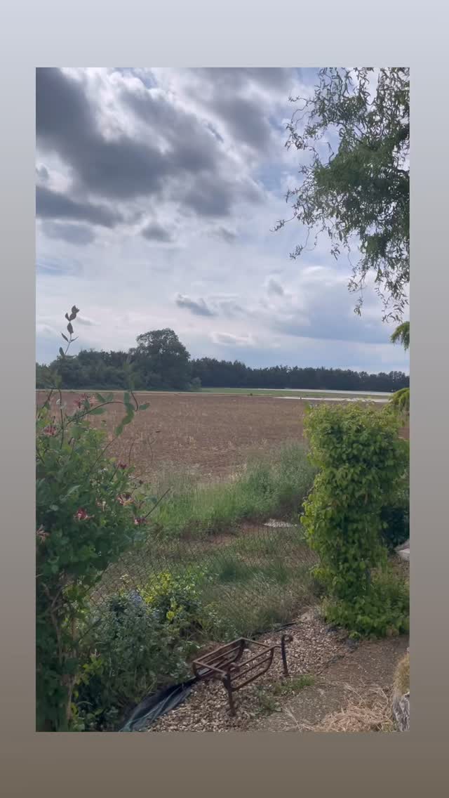 I keep meaning to post when I paint… but can’t always get my act together!! This one made me soo happy I thought you’d like to see. The sun came out so my brushes did too! Hope the sun is shining where you are and you also get to enjoy a beautiful view ❤️
#rosmansfieldart
#beautifulviews
#secrettsfarm
#secrettsmilford
#landscapeart
#pleinairpainting
#artistsofinstagram
#expressiveart
#surreyhillsartists