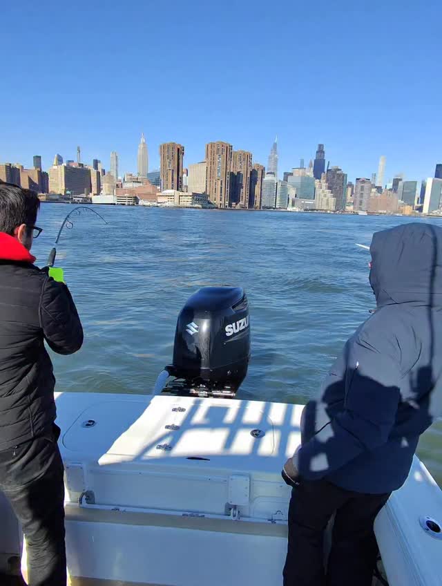 Another good one for my boy Tommy #bluefinsoundcharters #newrochelleny #bass #fishing #fyp