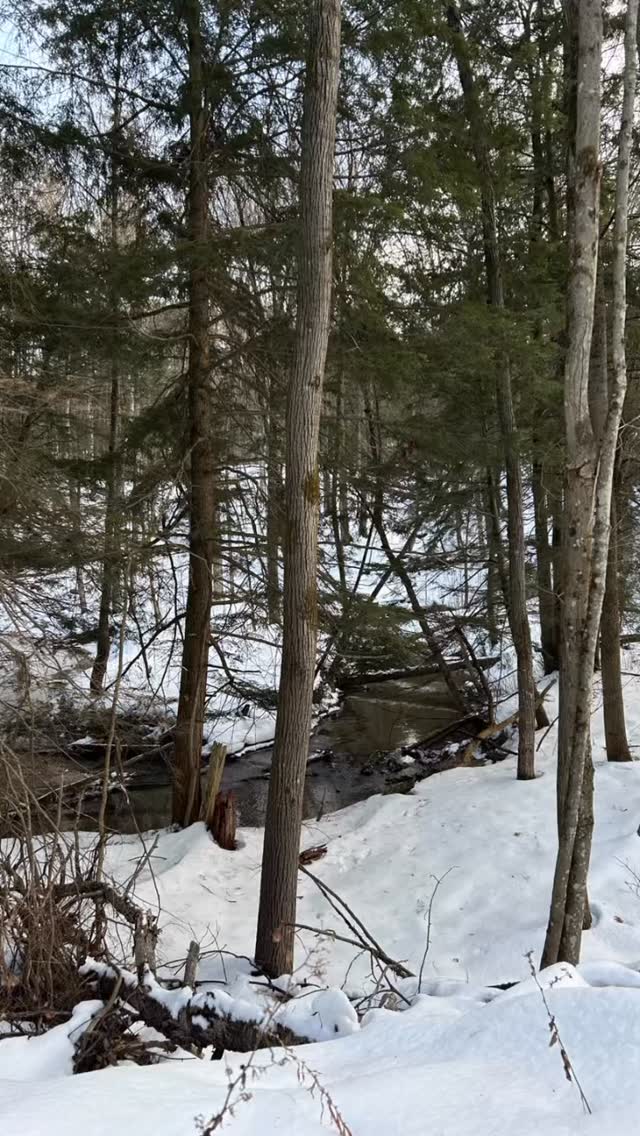 A beautiful way
to spend this
wonderful day.
#myhappyplace #copelandcreek #mwordsphoto