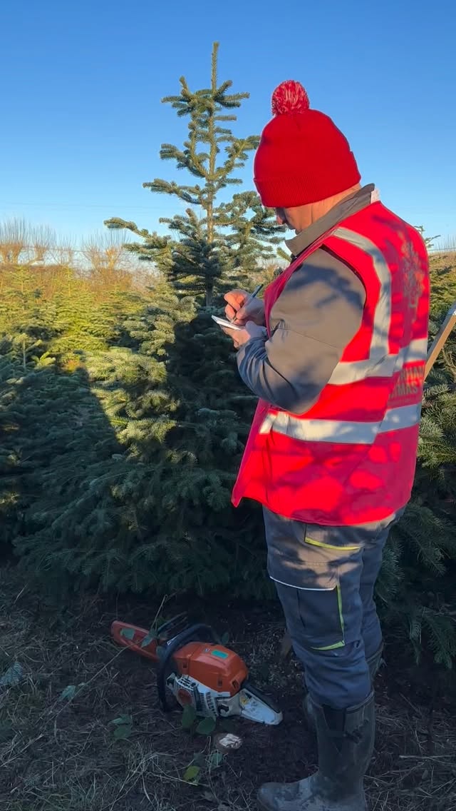 🎄This is the last weekend our PYO plantation will be open for 2025 ‼️🎄 We’re open 10.30am - 3.30pm on Friday 5th, Saturday 6th & Sunday 7th December.
🎪 We still have pre cut Nordmann Fir trees up to 16ft for sale in our marque
🌟 Durham’s only Pick Your Own 🪚 Christmas Tree farm
🎄 FREE ENTRY - There will be no online booking system this year
🥾 Wellies/ boots are essential for visiting the plantation
🌟 TREE PRODUCTS / SERVICES 2025 🌟
🎄PICK YOUR OWN plantation - Norway Spruce and Nordmann Fir. Dogs are welcome on a lead.
🎄FRESHLY CUT Nordmann Fir 5ft - 16ft & Christmas Tree stands will be for sale
🎄CLICK AND COLLECT - message us with your requirements and we can choose the perfect tree for you
☕️ Refreshments will be available
Check out our website for further details durhamchristmastrees.co.uk
We look forward to seeing both new and returning customers soon 😊🤞🏻🎄
#outdooractivities #locallysourced #freshlycut #pickyourown #durham