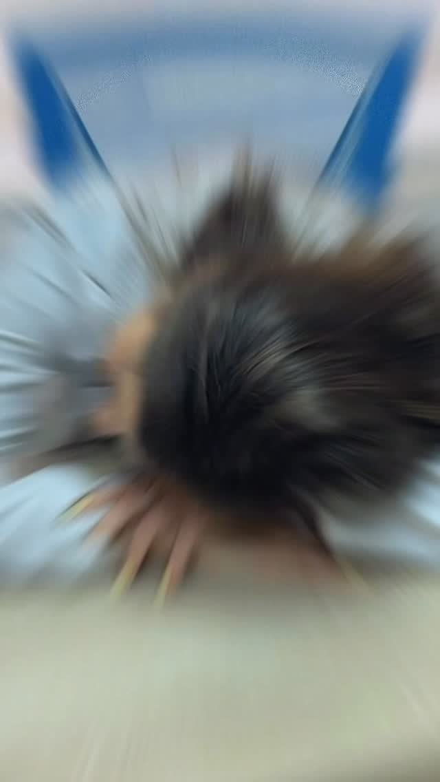 😴 Dormir bien no es un “extra”… es parte del progreso.
Tu cuerpo no solo descansa: regula hormonas, controla el apetito, mejora la recuperación muscular y optimiza tu metabolismo.
Cuando duermes lo suficiente:
✨ Tomas mejores decisiones alimentarias
✨ Tienes más energía para entrenar
✨ Reduces antojos y ansiedad
✨ Tu cuerpo usa mejor la energía que consumes
Y lo mejor: mejorar tu sueño no requiere suplementos ni hacks mágicos… solo hábitos consistentes.
📌 Guarda este reel para recordarlo cada vez que tu descanso quede en segundo plano.
#descansosaludable #habitosaludables #metabolismo