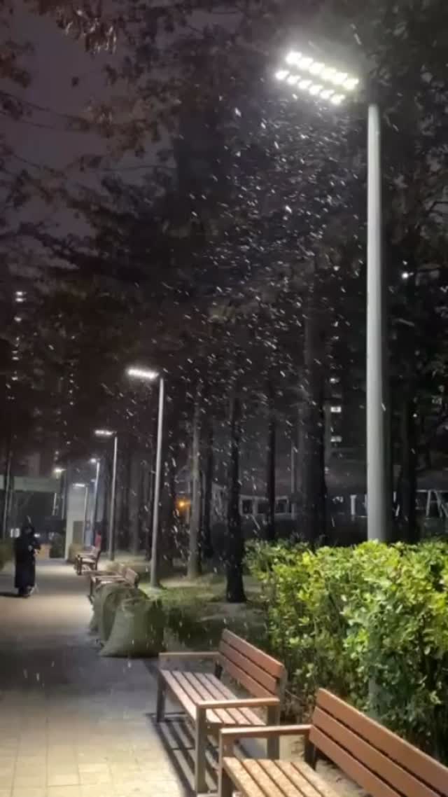 Hoy, 4 de diciembre, Seúl y gran parte de la región central se despertaron bajo la primera nevada del año. ⛄️❄️
Aunque llegó un poco más tarde que de costumbre, la nieve cayó con una intensidad inesperada, regalándonos un paisaje blanco y mágico para ser la primera vez.
#corea #coreadelsur #coreacontigo #coreacontigotour #viajeacorea #turismoencorea #toursencorea #tourenespañol #tuguíaencorea #guíaenespañol #nieve #nieveencorea #firstsnow #primeranevada #primernieve #coreaeninvierno #첫눈