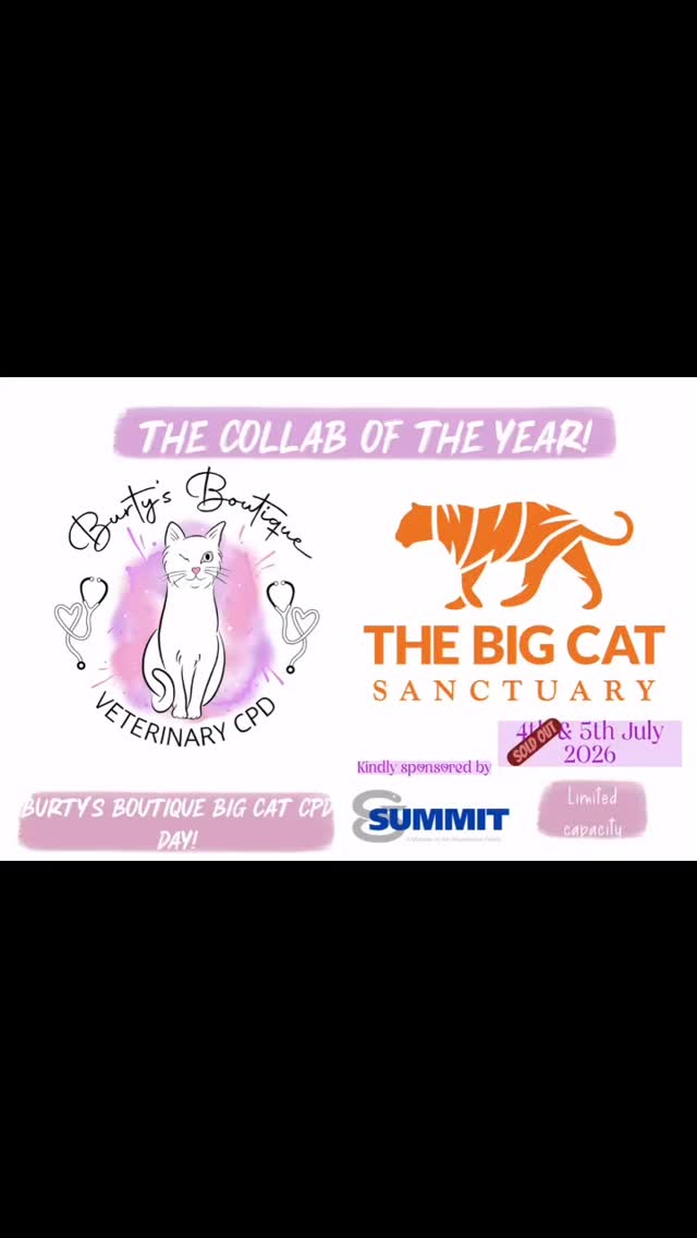 After unprecedented demand on our first Big Cat CPD Day- we are thrilled to have launched a SECOND Big Cat CPD Day. The days will be identical in content- so do not worry about missing out on anything.
We are SO excited to be collaborating with The Big Cat Sanctuary- their work is truly amazing- they have consistently assisted and cared for Big Cats from around the world, most recently relocating Lions from war torn Ukraine to live in their Sanctuary in Smarden.
The Big Cat Sanctuary is a unique place, and we feel so lucky to be able to join them for our CPD Day, The Big Cat Sanctuary is unlike other’s, it is not open to members of the public- so we are honored to able to host this event.
We will be offering all our usual fun of a Burty’s Boutique CPD Day including: Welcome goody bags, amazing sponsors, free and easy parking on site, access to our Burty’s Boutique shop and the Big Cat Sanctuary will be offered raffle tickets for sale, with all proceeds going back into the Sanctuary- the lucky winner will have the amazing experience of hand feeding one of their Big Cats! You will also have time to explore the Sanctuary after lunch and say hello to all the resident big cats.
We do of course, have an awesome line up of CPD sessions!
Together we will discuss:
Managing hypothermia in our feline patients
Creating a cat friendly clinic
Feline airways
Myths and misconceptions in feline anaesthesia/analgesia
Feline dental issues
Fractious cat cocktails
Tickets are now VERY limited, they can be booked on our website or email us to book via invoice.