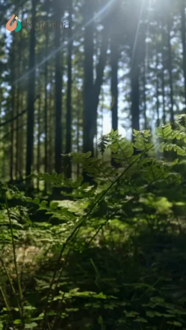 “No vivas del pasado,no imagines el futuro, concéntrate en el momento presente”
✨ Nuestro único espacio de libertad
#Coachingholistico #frases #autoconocimiento #momentopresente #presencia