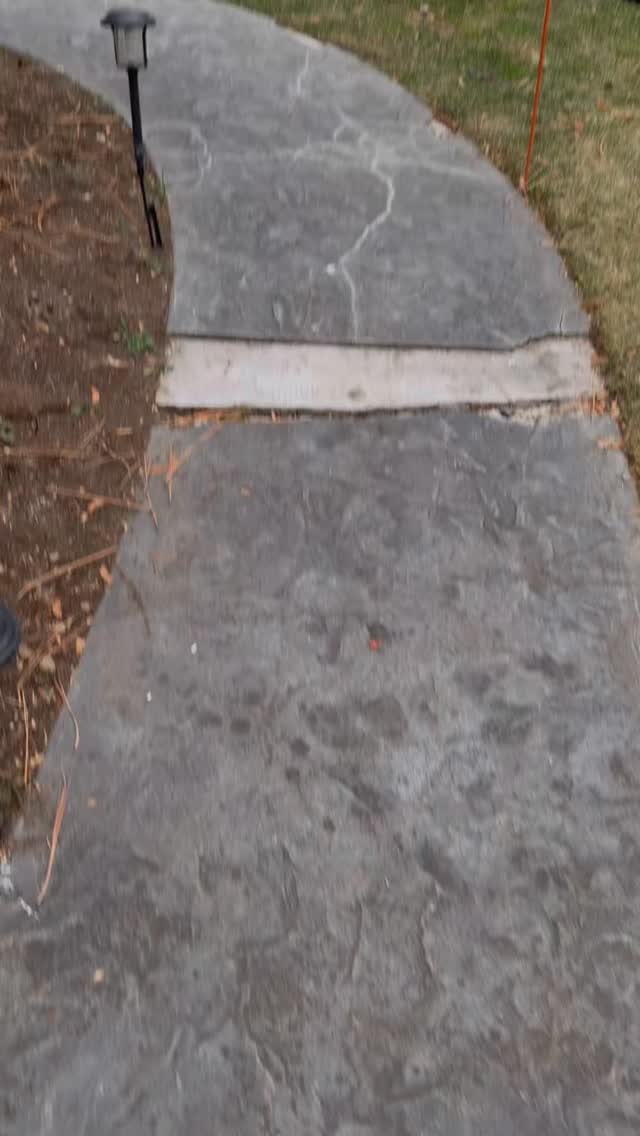 This gorgeous porch was so so fun to decorate!! Thank you @lynnfetter for letting us go crazy 😜
#holidayporch #evergreenarch #floraldesign #holidaydoor #seasonaldecor #tahoehomes #handmadegarland #christmasgarland #floralarch