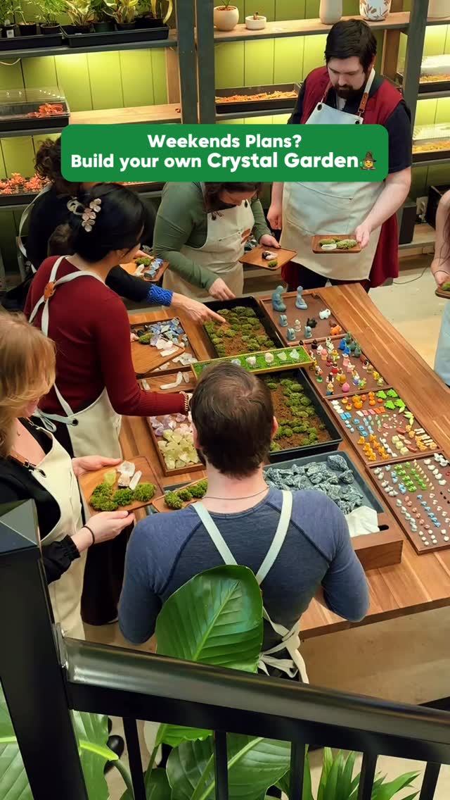 Creating tiny Crystal Gardens — calm, hands-on, and full of good energy 🌱💎
We love seeing every piece turn out beautifully unique ✨
📍Oasis Terrarium Studio
#crystalenergies #vancouverworkshop #thingstodoinvancouver #savethedateideas