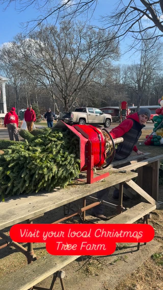 🎄✨ Looking for the perfect pre-cut tree, a cozy holiday photo moment, or a place to shop local gifts? Come visit us at Yetter Road Tree Farm this Sunday and all week long!
Our shop is stocked, the cocoa is warm, and our pre-cut trees are ready to go home with you.
Bring the kids, bring the pets, bring the holiday spirit — we can’t wait to see you!
📍94 Yetter Rd Mystic, CT 06355 United States
⌚ Hours
Mon–Wed: 12–5
Thurs–Sun: 9–5
#MysticCT #YetterRoadTreeFarm #ShopLocalCT HolidayMagic