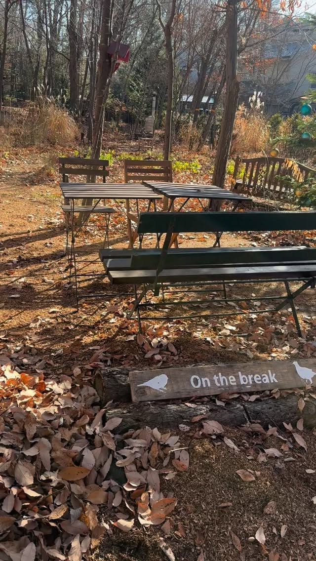 本日10:00-15:00、追分のポッティングシェッドでクリスマスマルシェを開催しました。
ご協力頂きました皆様に心より感謝申し上げます。
#軽井沢 #森の子クラブ #森の暮らし #野生動物との共生 #軽井沢の楽しみ方