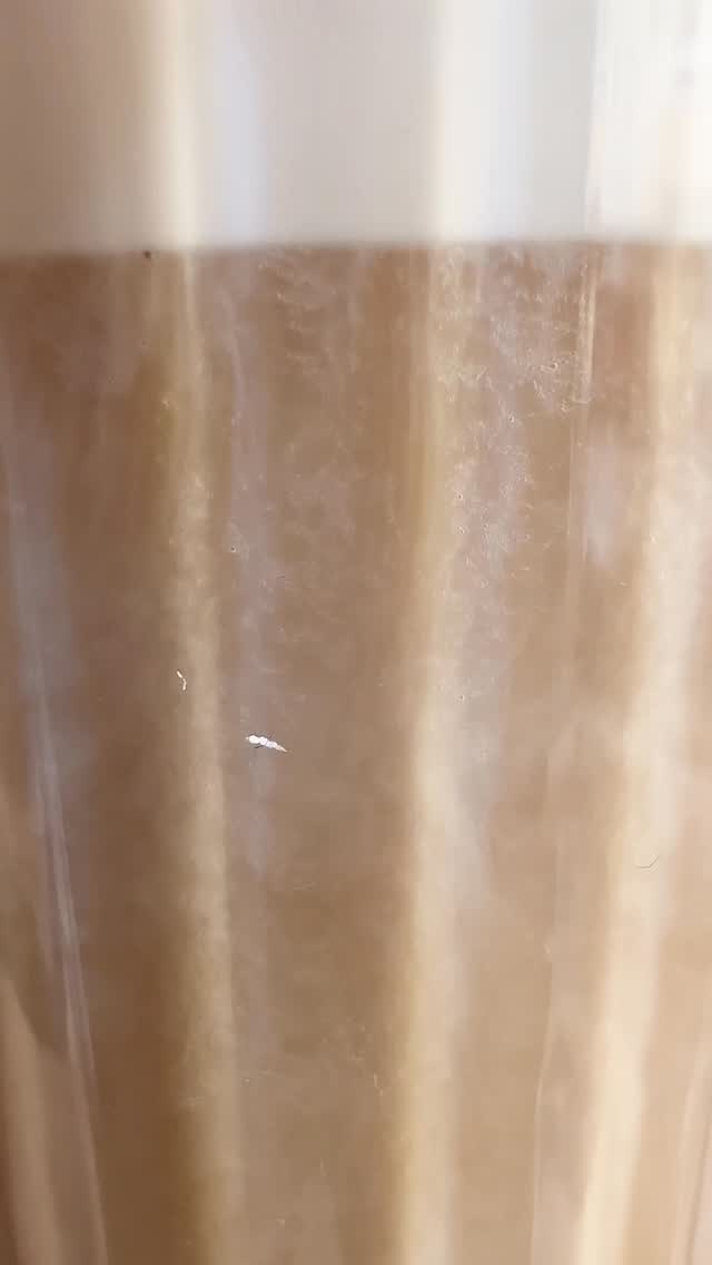 Heute gab es für uns nach Feierabend eine interne Ultraschall-Fortbildung bei uns in der Praxis. Vielen Dank an Vivi und unsere Praxis-Doggos! #ultrasound #vet