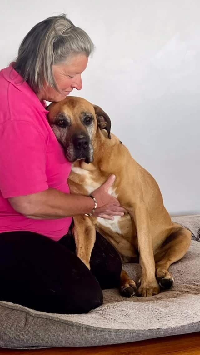 Thanks for all the fluff, nibbles, cuddles, kisses and farts 🤣
Have a very Woofy Christmas from Minda at Woof&Hoof 🩷🐶🐴