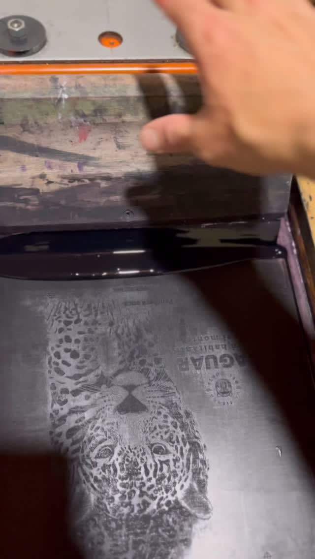 Hazlo con amor ❤️
Desde que iniciamos este sueño, nuestro mayor propósito ha sido aportar de distintas formas a la conservación de la biodiversidad y en el camino encontramos que lo más importante es hacerlo con amor y pasión. Sin duda hemos tenido errores y tropiezos, pero también mucha convicción de ir en el camino correcto y acompañado de personas hermosas que dedican su vida a la biodiversidad.
Una reserva de la sociedad civil, cientos de donaciones , trabajos en conjunto y muchas más cosas que no se ven acá, han sido un pedacito de ese trabajo secreto que hacemos cada día y que nos mueve!!!
Gracias por apoyar este sueño que también es un acto de resistencia.
Seguimos creando desde el corazón, por la naturaleza… y por ti. 🌿✨
www.latiendadelmonte.com
#naturelovers