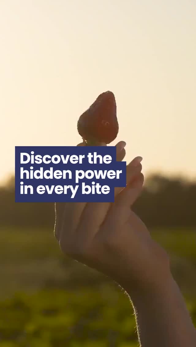 Nutrition plays a huge role in skin health. Antioxidants from fruit and veg help protect against ageing, healthy fats support your skin barrier, protein boosts collagen production, and fibre supports your gut which directly impacts your skin. When your nutrition is balanced, your whole body benefits.
Probiotics
Hair Skin Nails can be added into daily routine to support dietary intake