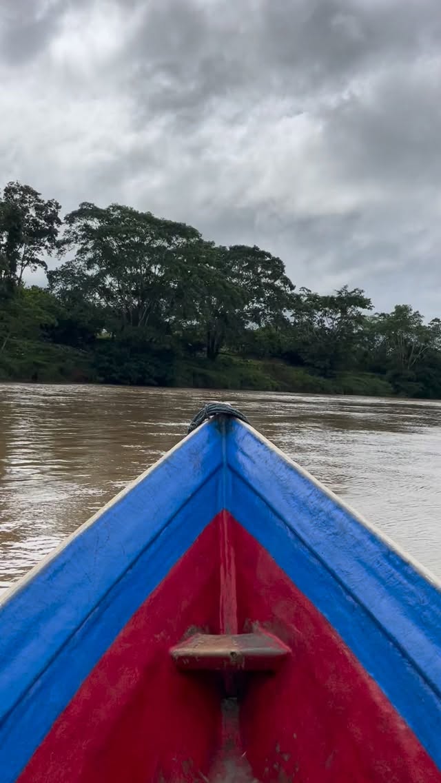 🌍 Ever tried #specialtyrobusta ? We’re on an adventure to find some and maintain full traceability to an extent few achieve… about 10+ hours from our normal mountain range where banking and general services are slim to none. Want to reserve one of only 25 bags from this adventure? Get in touch. All other 3,000+ bags from our farming group are specialty arabica—from geisha to java to maracaturra.
🤝 If you’re a roaster seeking a long-term business relationship with the specialty coffee farmers who farm your beans, reach out!
🔗 Click the link in our bio or DM our farming group. We ship almost anywhere on pallets.
#greencoffee #specialtycoffee #nicaragua #naturalprocess #honeyprocess #thirdwavecoffee #anaerobiccoffee #pacamara #directtrade #directtradecoffee #woc #coffeeprocessing #sustainablecoffee #biodynamiccoffee #coffeeroaster #coffeesorting #coffeeroasting #coffeefarm #sampleroasting #goldmtncoffee #besocialbegold #coffeefermentation #carbonicmacerationcoffee #nicaraguancoffee #worldofcoffee #robusta #specialtyrobusta