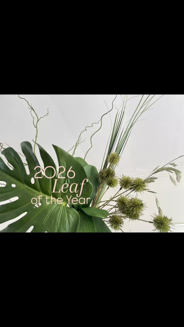 Pantone has announced their colour of the year as white cloud (with a fair amount of disappointment from what I've seen as a response). What do you all think? I feel like white in weddings will always be a thing and isn't really original. There's so many colours out there to celebrate. Why white!???
So anyway, here's my leaf of the year; The Monstera. This beauty is from @silkflora . Thank you Silkflora! I've purchased a few artificial Monsteras in my time and this has superior quality and likeness to the real thing.
These photos are some preliminary compositions for arrangements I'm working on.
#artificialflowers #fauxflowersofinstagram #artificialflowersnz