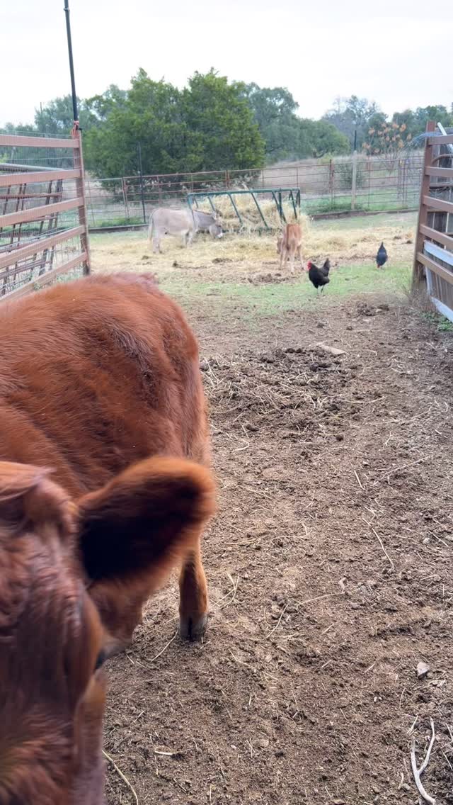 “Look at me! I’m cute too!”