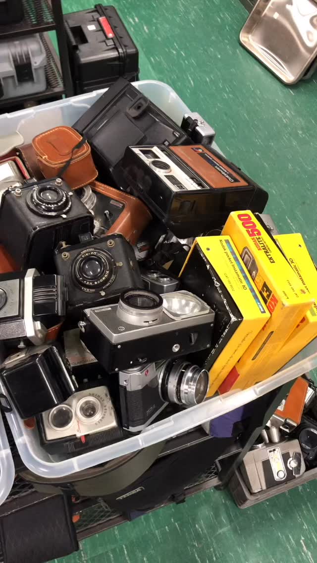 Clearance sale on shelf queens! $5-10. #vintagecameras #vintagecamerasforsale #camerastore