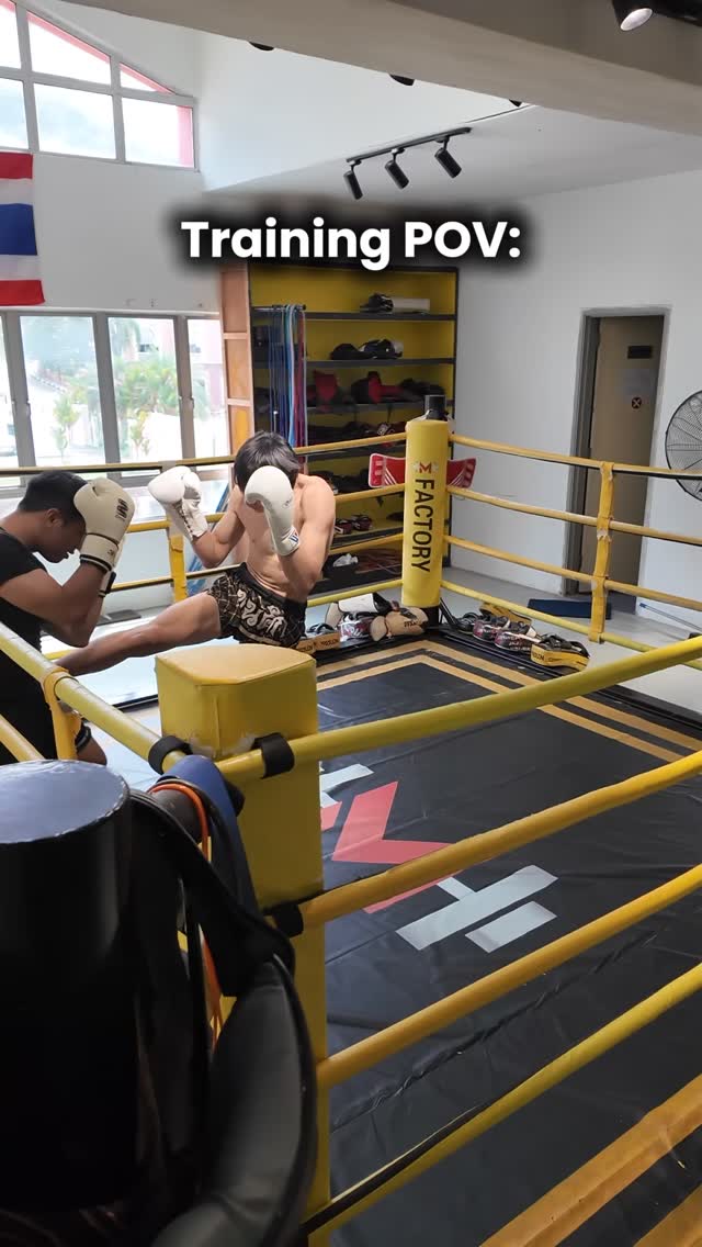 Get a knock out lasting freshness with Odour Killer Plus.
Its natural odour removing formula eliminates bacteria and viruses responsible for nasty smells on your gear
๐ Get yours now: https://tr.ee/iahYOV
#muaithai #martialarts #boxing #bactakleen #odourkillerplus disinfect