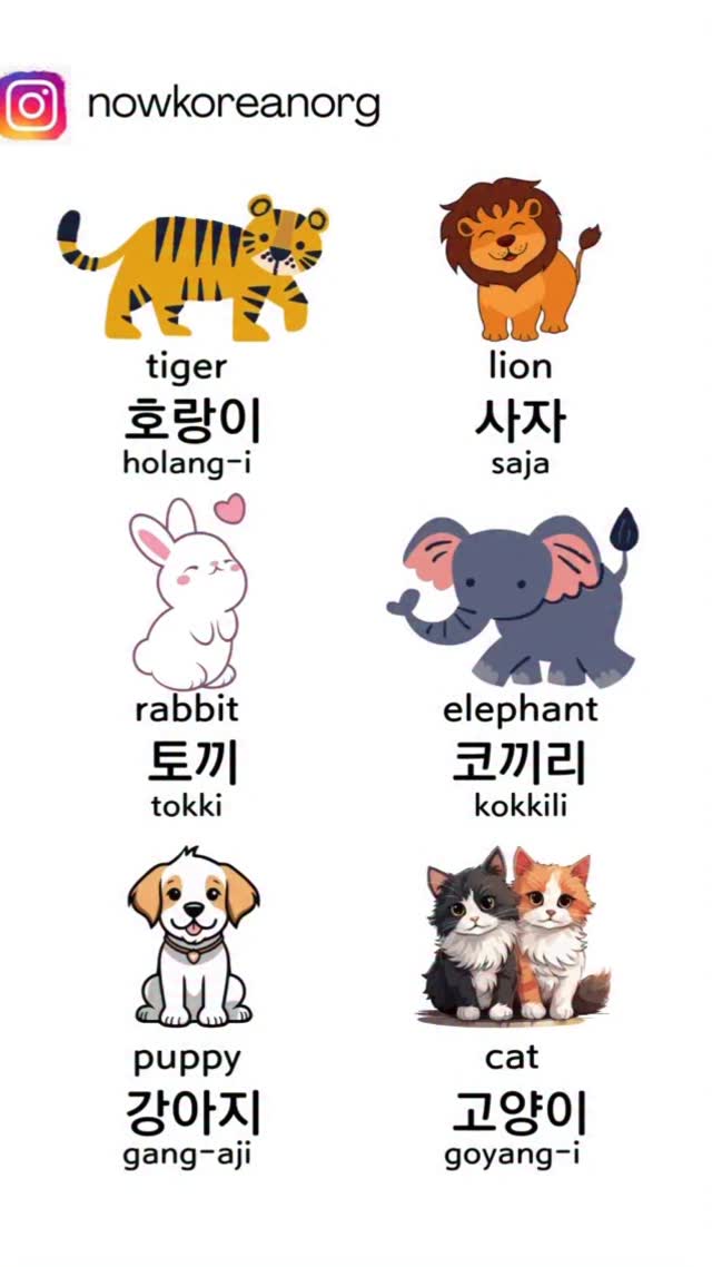 Beginner Korean classes.
More info - tap the link in bio
#learnkorean #koreanlesson #koreanteacher
#studywithme #koreanphrase
#hangulstudy #koreanclass #kpop #kdrama#koreangrammar
#onlinekoreanclass
#beginnerkorean
#한국어공부 #한국어 #한국어선생님
