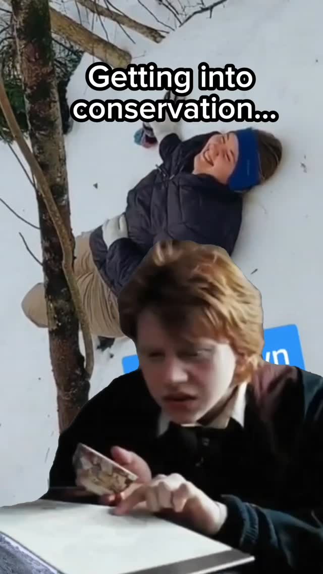 All for the greater good....
Not gonna lie, the conservation field has a way of knocking you down (literally sometimes) but no matter how hard the field work may be, conservation techs are tougher! 💪
At Wild Rivers ISC we are gearing up for our winter field season where our techs will be snowshoeing through gorgeous snow covered forests to inspect Eastern Hemlock for signs of invasive Hemlock Woolly Adelgid (HWA).
There may be a few tumbles along the way, but we sure are excited to explore the northwoods in the winter!
#invasivespecies #forest
#hemlock #snow #conservation #CapCut #nature #northwoods #northernwisconsin #uppermichigan