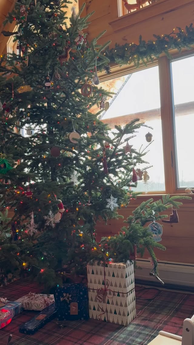 This time of year 🎄🤍
#barefootonbirchisland #thistimeofyear #mainewinter