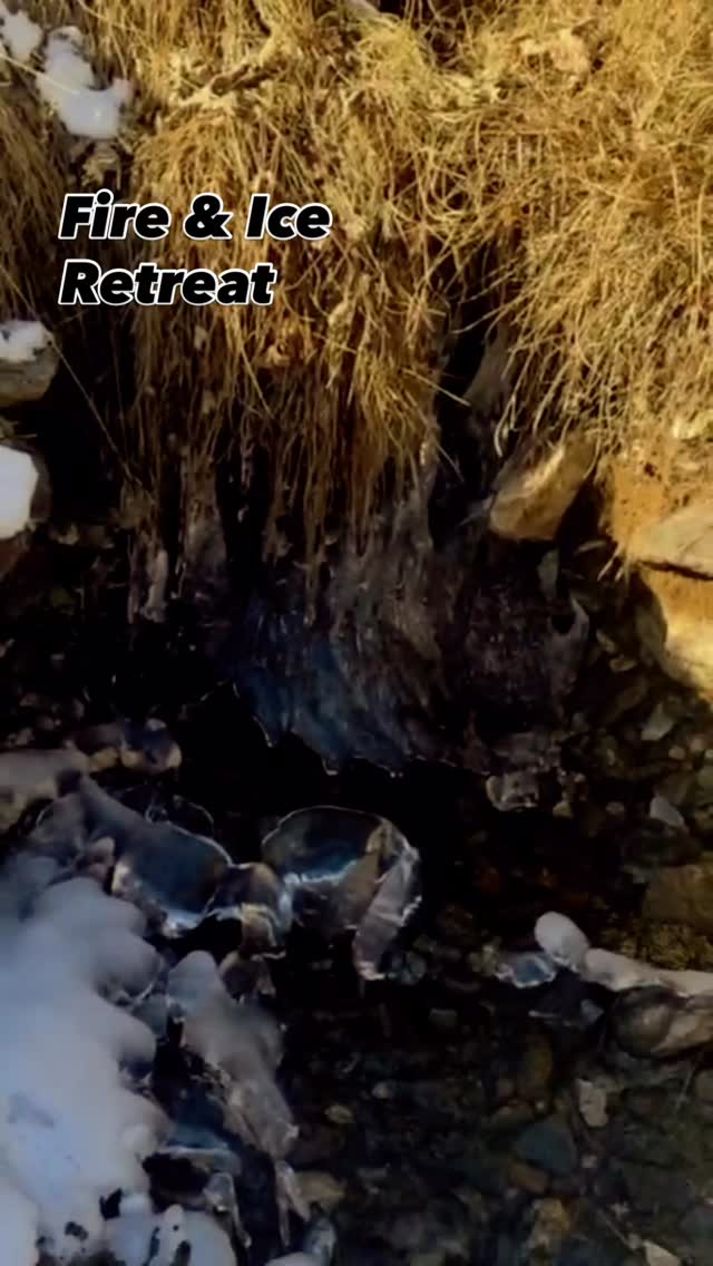 🔥❄️ Fire & Ice Retreat
Un weekend in cui ci siamo lasciati attraversare dagli opposti:
il fuoco vivo della pratica, che ha acceso forza, coraggio, presenza…
poi il tepore delle acque termali, un abbraccio silenzioso che ha invitato al rilascio,
e infine il freddo della montagna, capace di purificare, liberare e rendere nuovi.
A volte non serve capire subito.
Basta affidarci all’esperienza, restare aperti, senza aspettative, e permettere alla vita di sorprenderci. Quando non cerchiamo di controllare tutto, scopriamo quanto possa essere nutriente lasciarsi attraversare. ❄️
Grazie per ogni respiro condiviso, per il calore dei silenzi, per le risate, per la fiducia.
Questo viaggio continua… 🧘🏻♀️🧘🏼
📅 Prossimo Retreat: 30 maggio – 2 giugno
Se senti di volerci essere, rimani connesso: presto sveleremo tutto
#FireAndIceRetreat #YogaSantoshaLegnano #SadhakaHolistic #RetreatExperience #yogaretreat