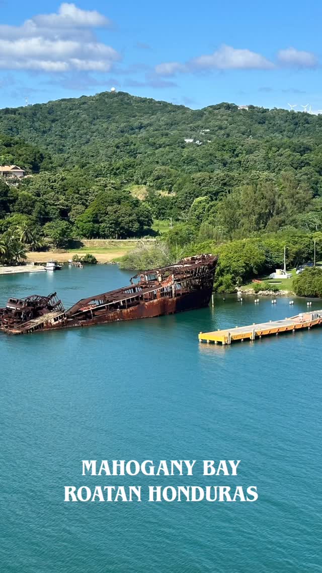 Final port day of this cruise had us soaking up the sun in Mahogany Bay, Roatán 🌴☀️
Mission: recharge the solar panels before heading back to the glorious rains of the Pacific Northwest.
Result: FULL POWER RESTORED. 🔋😎
Today was all about sun, beach time, and ocean relaxation — the perfect recipe to survive winter back home. This bear does not photograph well at the beach (built-in sweater problems 🐻😂), so no selfies… but trust me, the scenery did all the heavy lifting anyway.
And because I can’t go anywhere without adding more plants to the wish list…
🌺 Heliconia
🌼 Mussaenda
…yep, both officially joining the “figure out how to acquire and keep alive in the greenhouse” list for the tropical garden. 🌿🔥
Now it’s two more days of sunshine and poolside bliss before Galveston and the trip home. Solar panels: stay charged. 😎✨
#MahoganyBay #Roatan #CruiseLife #TheAngryGardener #PlantAddictOnTour #TropicalPlantWishList #HeliconiaHunt #MussaendaMadness #SunRecharge #PNWBound #WinterPrepMode #BeachDayVibes #CruiseAdventures #GreenhouseLife
