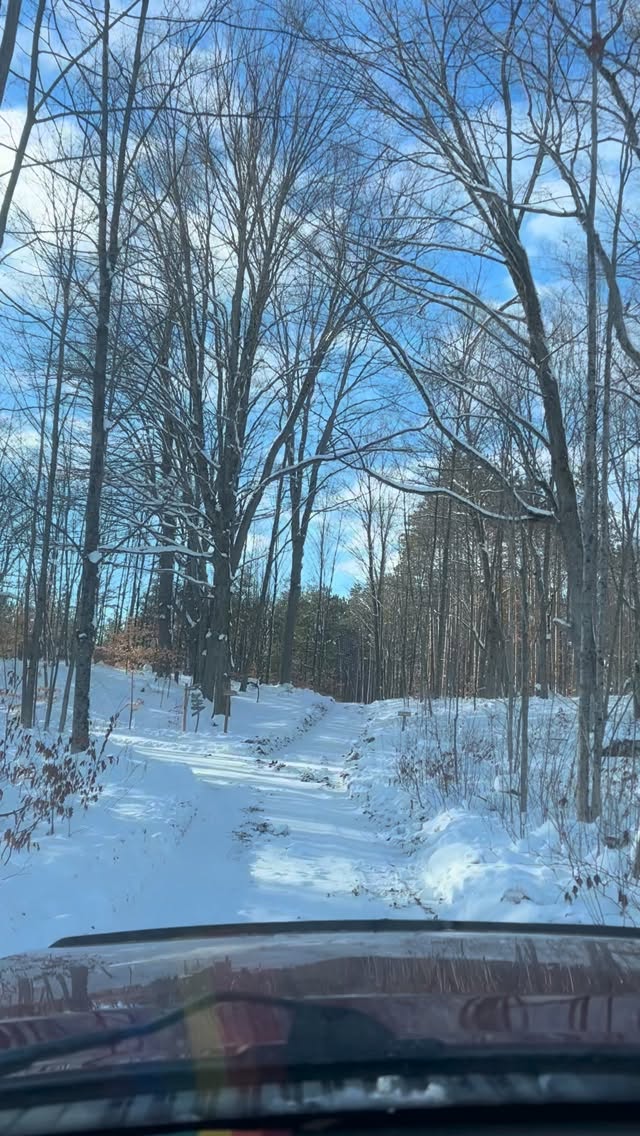 The road in to Gabe’s today… ☀️🌲