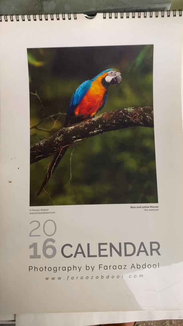 Makes me feel a bit old but nevertheless happy to wander through the last decade of doing these calendars. Thank you to everyone who has supported us over the years. To 2026 and beyond ✨#birding #birdphotography #2026 #2026calendar #birdsoftrinidadandtobago