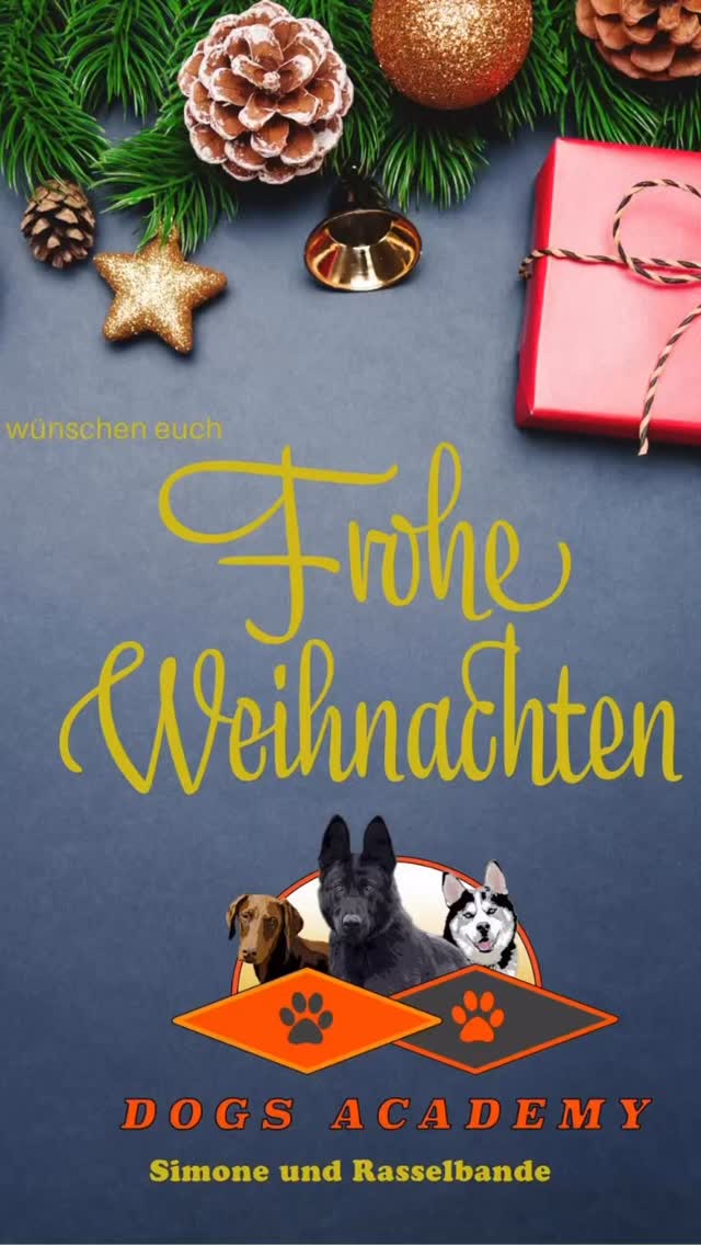 🎄🎄🎄🎄