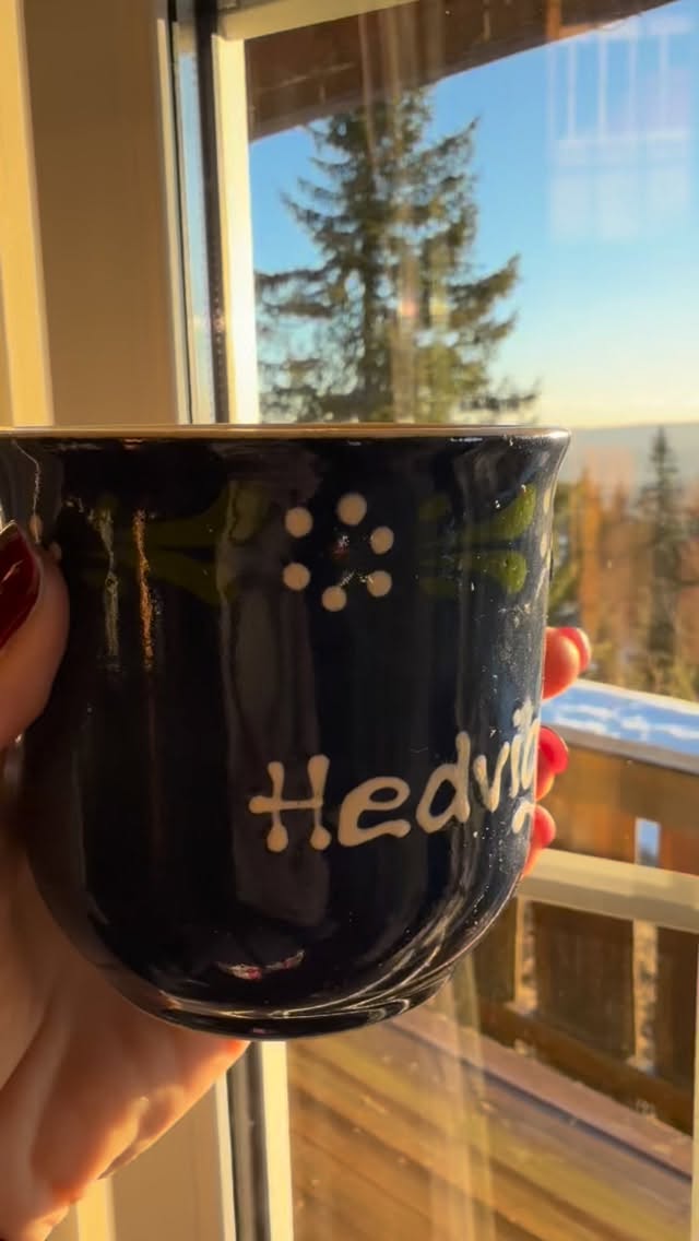 Å lande etter høytiden 💫
Romjulen er tiden for etterklang.
Alt som har vært – det fine, det vonde, det perfekte/ uperfekte – får lov til å legge seg.
Du trenger ikke evaluere. Bare lande.
Hva trenger å få falle til ro i deg nå?
#romjul #etterklang #roihjertet #indretrygghet pust nærvær frahjertet heling stillhet