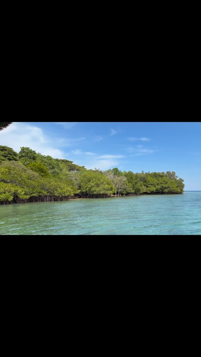 🌊 Nothing to fix.
Nothing to achieve.
Just let the body settle in its own time 🌊
🦋 2026 goal 🦋
☀️ Let regulation happen naturally by ☀️
• Slowing your the breath without forcing it
• Softening your jaw, belly, and eyes
• Feeling contact feet on the ground, body supported ( recline )
• Staying with sensation, not the story - Important ( make note )
• Allowing pauses and silence
• Resting longer than feels “productive”
• Trusting the body’s own rhythm
🦋 2026 goal 🦋
#slowdown #respectyournervoussystem #restispower #restispowerful #selfcare