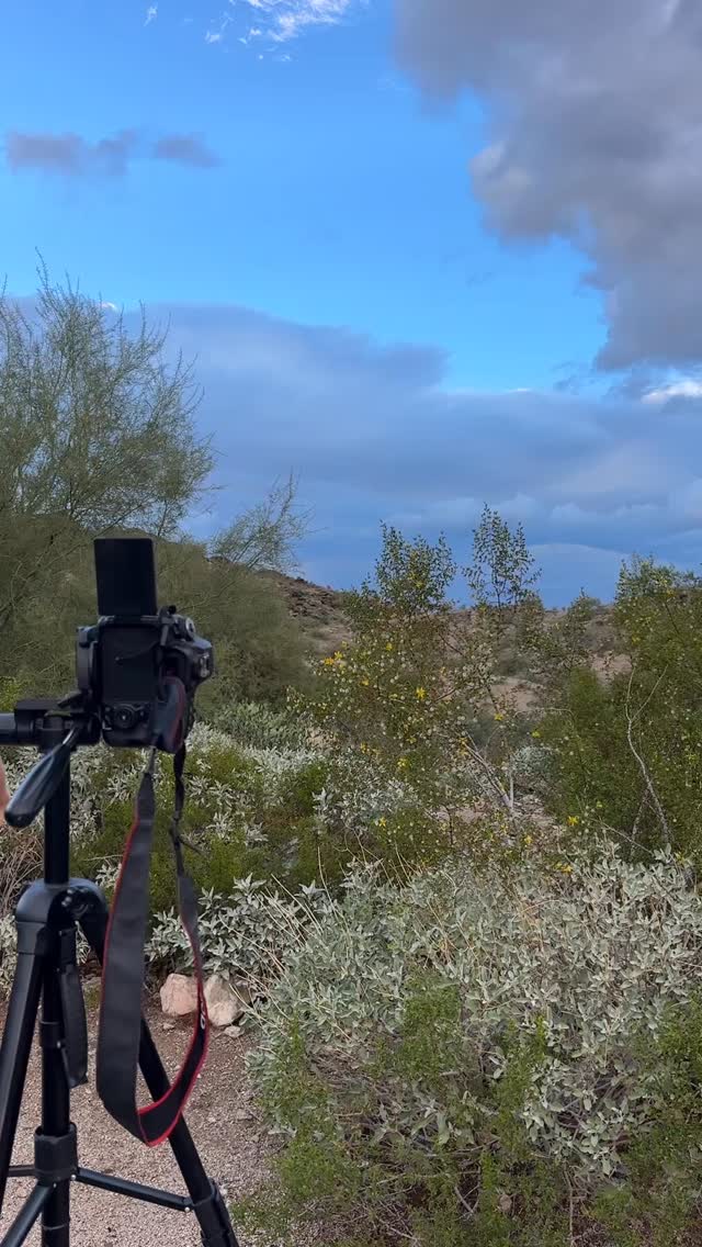 a recent adventure taking body paint photos at a hiking trail 🧚🎨
#bodypaint #creativemakeup #arizonaartist #phoenixartist #bodypainting #natureart