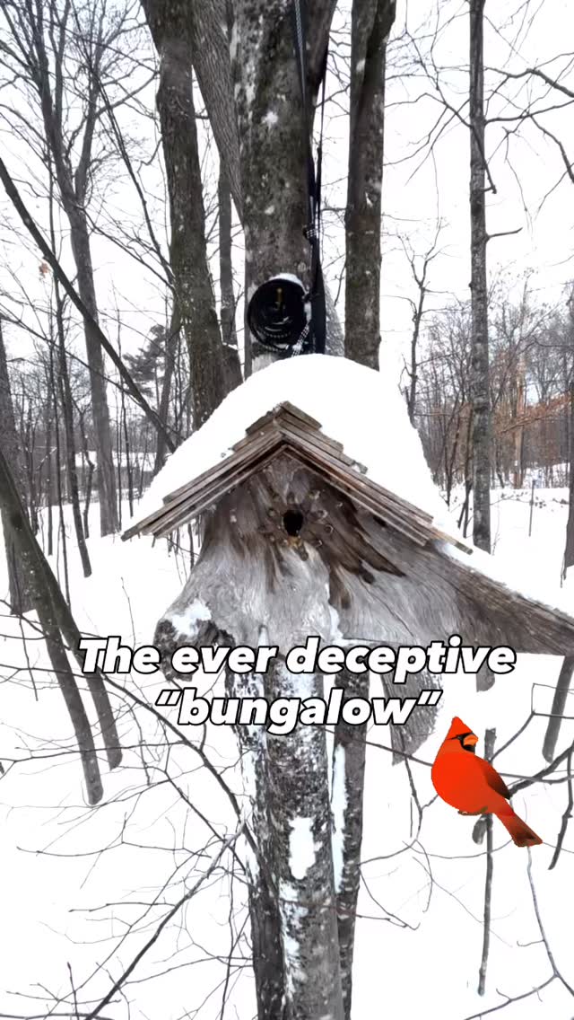 Looks can be deceiving, especially with bungalows. Get buyers chirping about your listings with reels and walkthrough videos.
#realestateottawa
#sold
#ottawarealtors