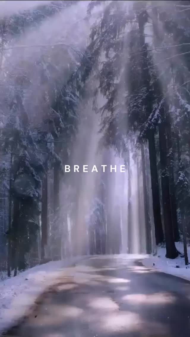 12 Days of Breathwork Bundle is ready for you!
Festive, silly, impactful. Support for your nervous system on all levels as you move through the holiday season.
Comment BREATH to get your access.