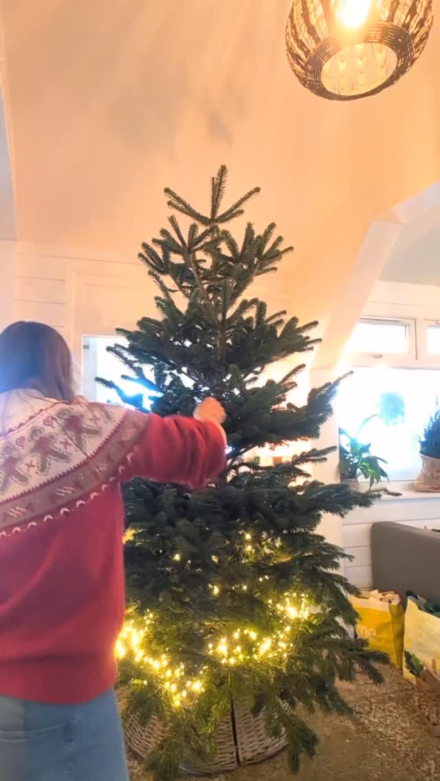 Lusty Glaze Christmas
part 2-The tree!
Lots of shells, pine cones, glass baubles with sand and sea glass, little bits of lusty tree decs, orange slices, Hessian ribbon, paper baubles and cinnamon sticks... They took a while to make!
@lustyglazebeach @lustyglazebeachweddings
#lustyglazelife #lustyglaze #lustyglazebeach #lustyglazebeachweddings #christmasincornwall #christmastree #naturalchristmasdecor #naturalchristmas #christmasdecor #naturalchristmastree #naturalchristmasdecorations #ilovechristmas #christmastree🎄 #christmastreeideas #christmastreedecorating
