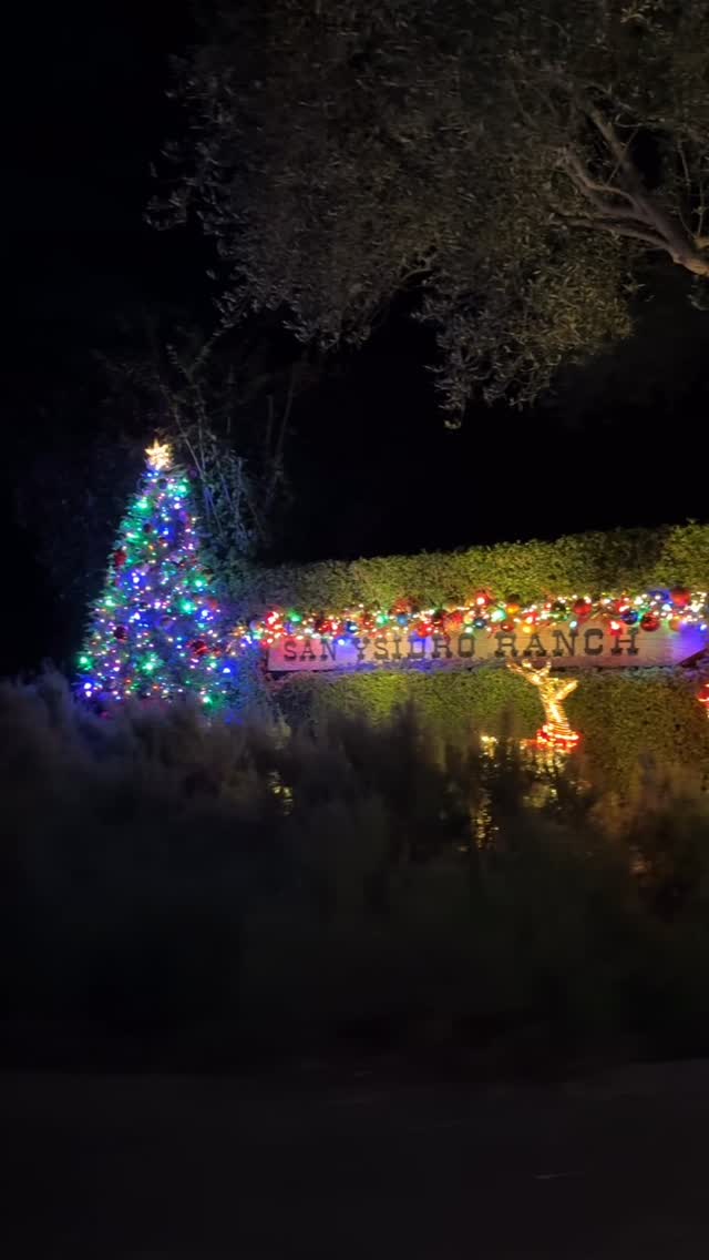 Last night was pure magic at @sanysidroranch . ✨
Our Marla & Co. holiday dinner party felt even more special thanks to @boho_chic_dreams beautiful florals and chocolate-brown silk tablescape. Surrounded by candlelight and the warmth of our incredible team, we shared stories, played games, and celebrated an unforgettable wedding season together. I’m endlessly grateful for each person on this journey. This year has been truly extraordinary, and it was such a joy to reflect on it all over the most delicious food and a perfectly festive atmosphere.
Cheers to everything we’ve achieved and to all the beautiful moments still to come! 🥂🤍✨ Happy Holiday from us at Marla & Co.!