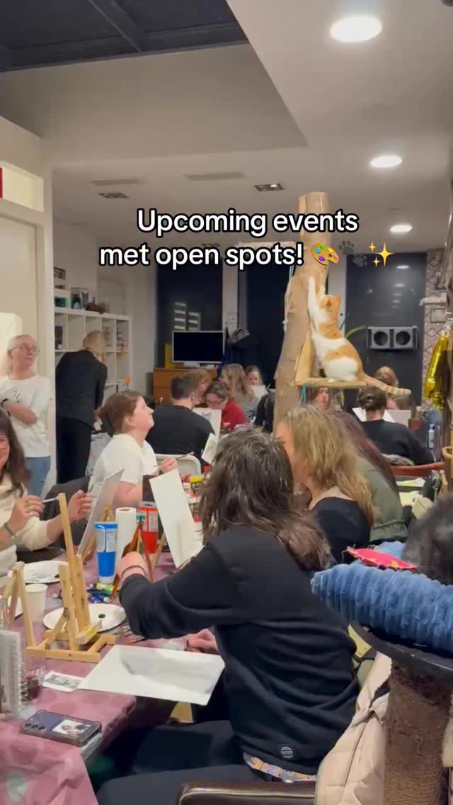 Onze volgende creatieve workshops staan online — en er zijn nog plekken! ✨😽
Kom schilderen, knutselen of kleien tussen onze katten. De perfecte cozy date of vriendenavond!
#kattencafe #catworkshop #catsandclay #catpainting #alkmaar