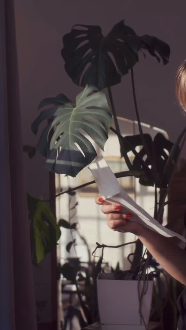 Please allow us to reintroduce ourselves. We are a UK-based mental health charity based in London. We offer the most affordable behavioural therapy around. Our mission?
Simple.
To make mental health therapy accessible and affordable to as many people as possible.
:: FAQs ::
✔️Pricing?
Learn about our ✨ Point One Project ✨, a program which offers pricing of .1% your annual income (if above £45,000). If you make less than this per year, we can still help, in a big way. Review our pricing as low as £8 per session for those who qualify.
✔️Want to Donate a Session or Two?
We are forever grateful to our donors + partners who help us strengthen the resilience of our communities one session at a time. Our Giving details are linked above and thank you, 🙏🏽
✔️ Therapist in Training?
We offer several workshops and courses to help new therapists who can then help the community. Inquire with links above!
What you can expect from Power to Live is this: Evidence-based therapies to help you navigate life’s challenges, affordably.
In other words, our therapies are comprehensive and considerate of you and your lifestyle. We focus on outcomes and are here to help you with real transformations as you overcome obstacles. You’re not stuck. You just need the Power to Live.
Book your assessment now. Therapists are standing by.