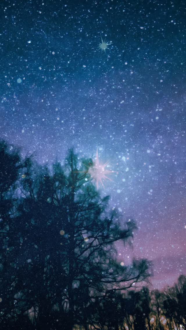 ⭐ Unter einem guten Stern ✨
Unter Himmel und Sternen möchten wir Danke sagen. ✨
Danke an unsere treuen Follower,
an die Unternehmen, die HATTENhat. unterstützen und an dieses Projekt glauben,
an die Vereine, die von Anfang an an uns geglaubt haben,
an OSO Media @osomedia.de , unseren Partner, für die großartige Unterstützung von Beginn an,
an Sven Döhren @svendohrenhobbyfotografie für seine beeindruckende fotografische Begleitung und an alle, die sich für unsere Gemeinde Hatten interessieren.
Dieses Reel ist der Abschluss unserer gemeinsamen Adventsserie.
Mit Blick nach oben und voller Dankbarkeit im Herzen, wünschen wir euch allen ein frohes und friedliches Weihnachtsfest. 🎄✨
„Es ist Zeit für das, was war, Danke zu sagen,
damit das, was werden wird, unter einem guten Stern beginnt.“
Marisol von HATTENhat.
* @schluetermodellcenter @zum_deutschen_hause @fahrschulekloss @frerichsreifenundautozentrum @fzz.hatten @friseurluther @hoerwerkerei @cs_energiesysteme_gmbh @zum_pfefferkorn @dingstederkrug @schuhhausknipper @haar.krug @limoncello_sandkrug @automoennich @s_c_h_o_e_n_es_aus_holz @zimmerei_koehrmann @barkenhofbackstube @fm_brautmode @horst_brumund Holtrup und Gaststätte Ton Klönsnack
** ESHV, Sing‘n‘ Swing, evangelische freie Gemeinde Sandkrug, für Prävention, Therapie, Bewegung und Gesundheit e. V
#hattenhat #weihnachten #danke #gemeindehatten #himmelundsterne #gemeinschaft