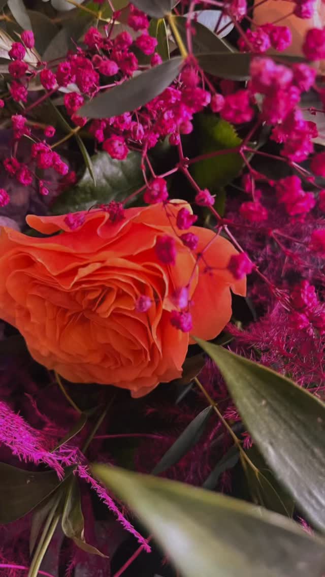 Trois moments, trois ambiances florales ✨
Retour en images sur les moments forts de la boutique @maisonlukas, mis en valeurs par les créations d’Alexandrine :
✨ L’Inauguration, avec une décoration florale pétillante pour marquer le début de cette belle aventure
🎂 Une bonne dose d’exotisme pour fêter le premier anniversaire de la boutique
🎄Aux couleurs de Noël pour profiter de la magie des fêtes
Breizh Loue vous accompagne pour valoriser vos événements professionnels ou tout simplement pour créer une ambiance florale percutante.
#breizhloue #decorationflorale #fleuristecreateur #breizhloue_fleurs