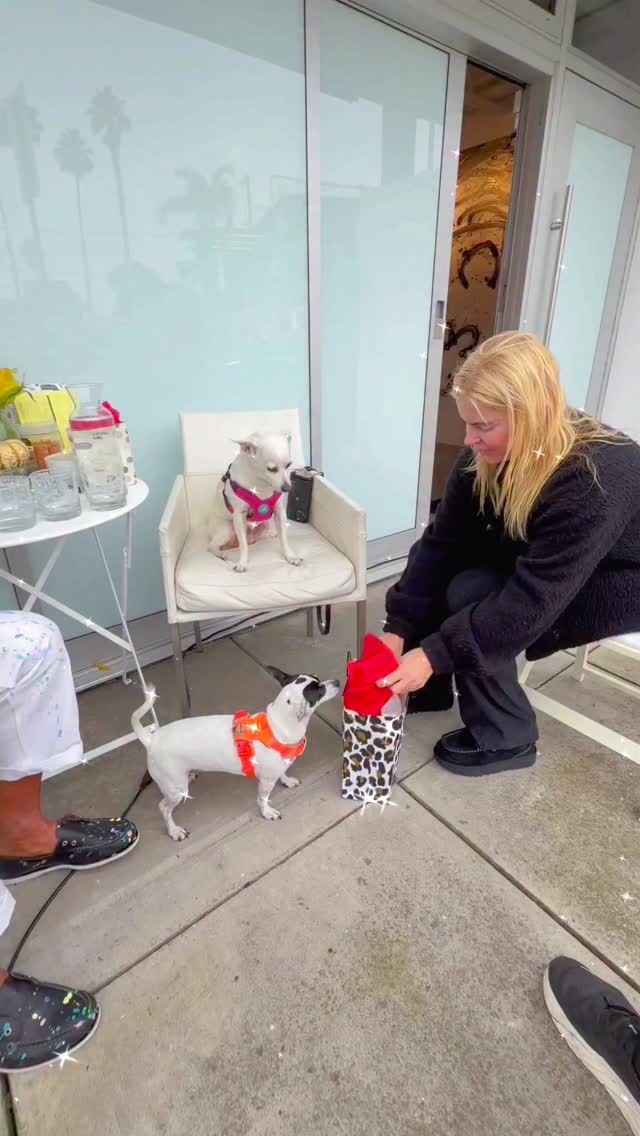 Happy Holidays!! Thanks to queen stylist @jeneverhart ✨ dressing these little beings of light in pure love ♥️🌟🐾💚🐾