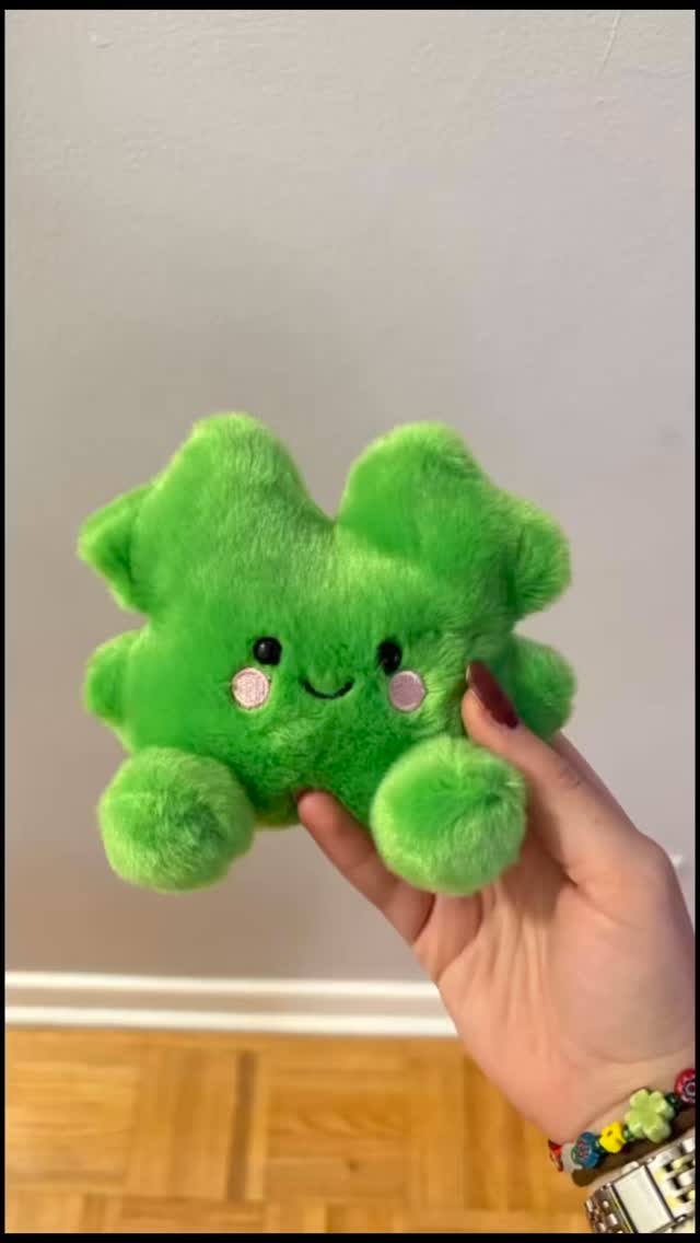 Special intrests often bring ✨comfort, joy, and focus✨. They are not “immature” or “weird.” For many brains, they are a form of self regulation and passion.
Stuffed animals are a perfect example. A small interest can grow into a full collection and it is often more about sensory comfort, emotional grounding, and connection than the object itself.
If you have ever gone from “I like this” to “I must learn everything about this now”… you are not alone. You are simply a human whose brain lights up for the things that feel safe and meaningful.
Every passion has a purpose. ❤️✨🧸 #mentalhealthmatters #counselor #specialinterest #stuffedanimals #calm #mindsetmatters #mentalhealthsupport #adhd #autism