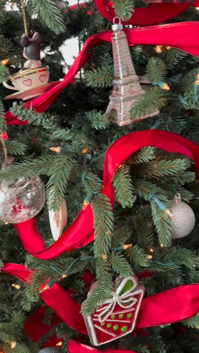 Christmas Day 2025 🎄❤️ #happyholidays