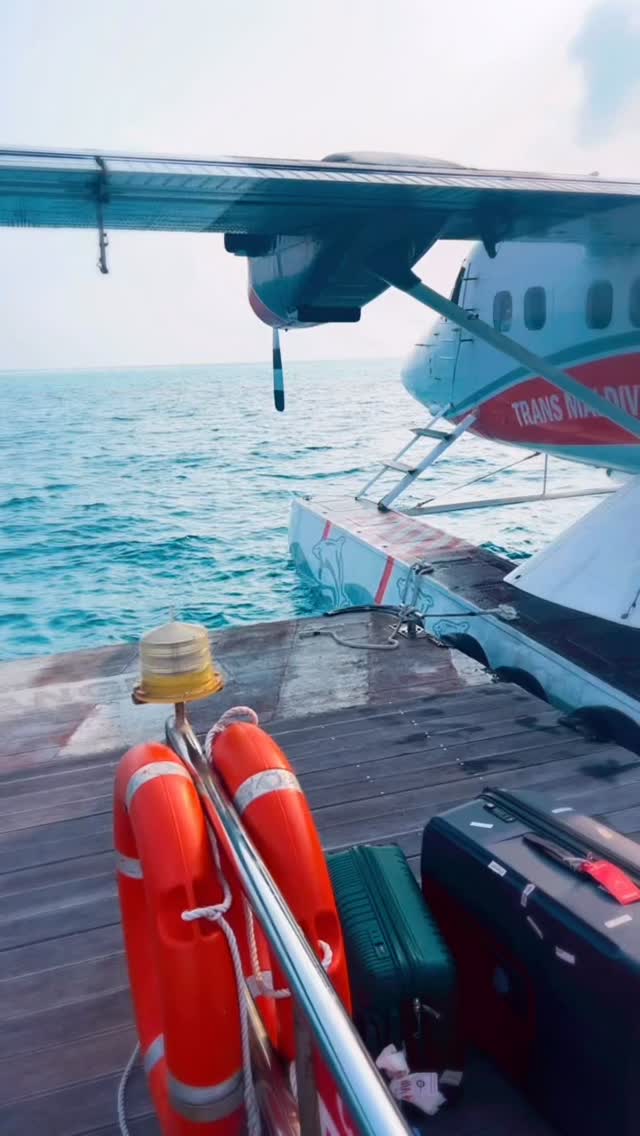 11 days in paradise, so many memories, interesting people, delicious food, incredible sunsets, breathing nature& underwater world. Truly sunny side of life-thank you Maldives
@joanasofiatelees @garuthay1 @slembaevad @yemaya_ai @boonarpa @theannelia @suhasinichemburkar