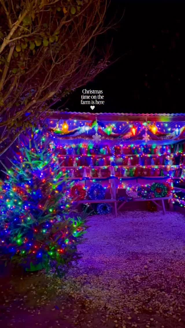 And just like that, the most wonderful time of the year has arrived on the farm! 🎄🎅🏼❄️
.
.
San Antonio! Don’t miss Christmas CountryFest at Devine Acres Farm. Now open select dates Nov 28-Dec 21!
.
.
📍 944 FM-2200, Devine, TX