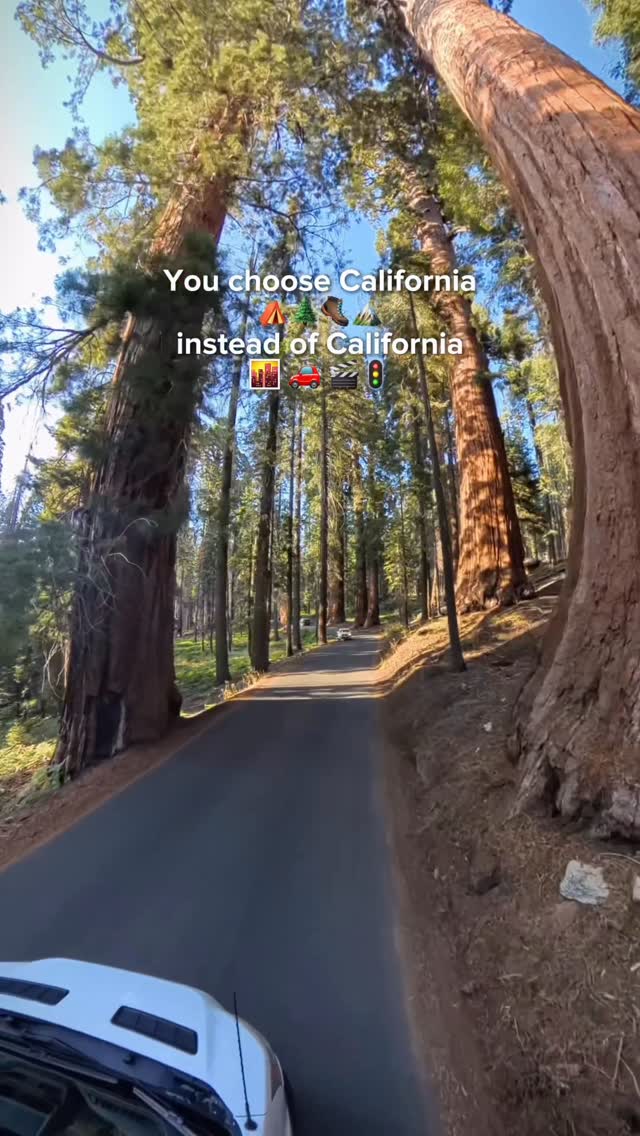 California isn’t just cities and palm trees, it’s pure wild