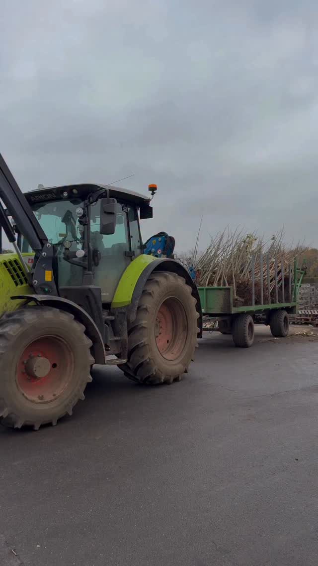 Was kann man jetzt noch pflanzen? 🤔
Die Frage hören wir aktuell täglich.
Man kann noch alles pflanzen, Stauden, Hecken, Sträucher, Bäume, Rosen. Solange der Boden nicht zugefroren ist, kann man im Garten noch Projekte umsetzen. 🙌
Wir haben diese Woche genutzt neue Bäume aufgepflanzt. In ca. 2-3 Jahren werden die ersten verkaufsfertig sein.
#baumschule #boomkwekerij #garten