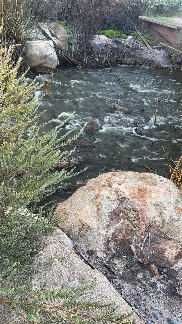 waking up at 6am on a sunday to watch the sun rise by the water is so worth it
reminding myself the importance that nature walks hold in my work and creative practice