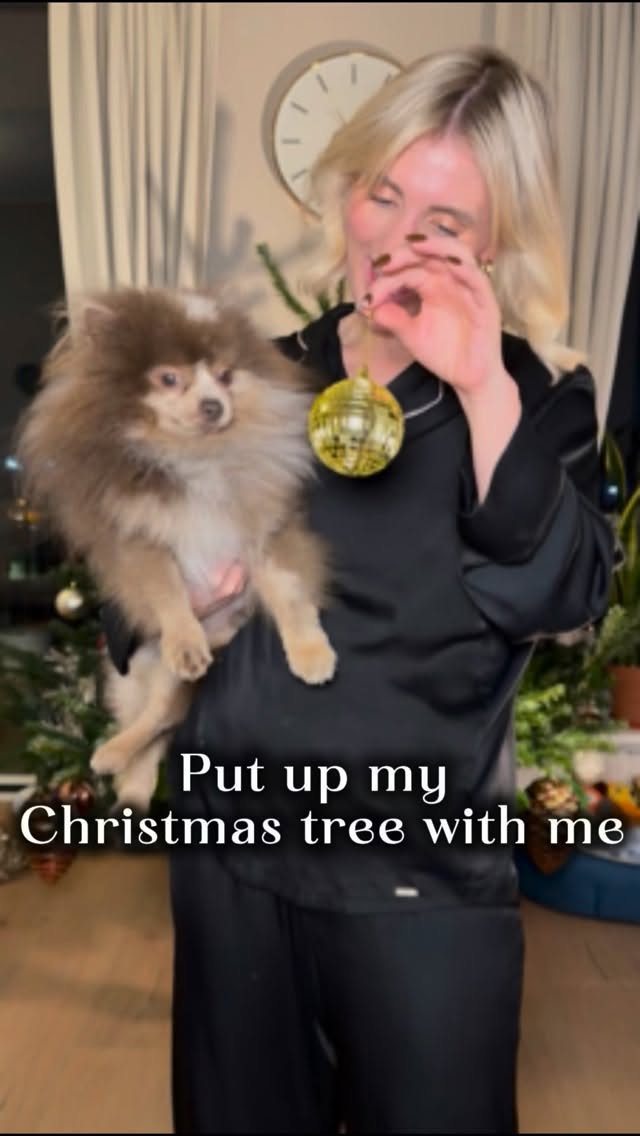 Lights, garlands, baubles…
..and a very judgemental Ski
The tree is up and the house feels so warm and cosy!
#christmastree #ahandwithproperty #propertyfinder