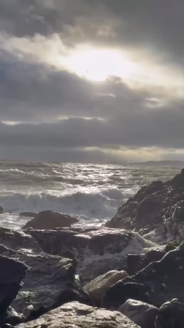 Down by the sea 🌊💨 Hoo Ha 🥾🐐
#howthsafarihike #decembermagic #winterinhowth #dublincoastaltrail